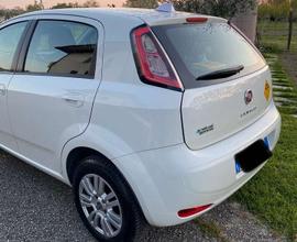 Fiat Punto - allestimento Lounge 2014