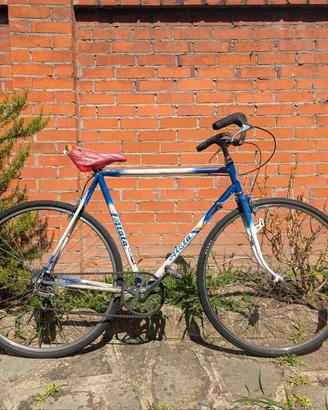 Bici da citta