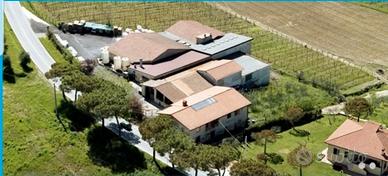 Capannone con ampio parcheggio