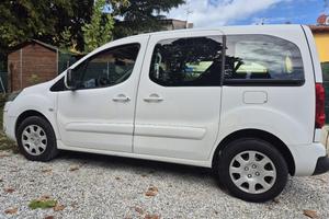 peugeot partner tepee 