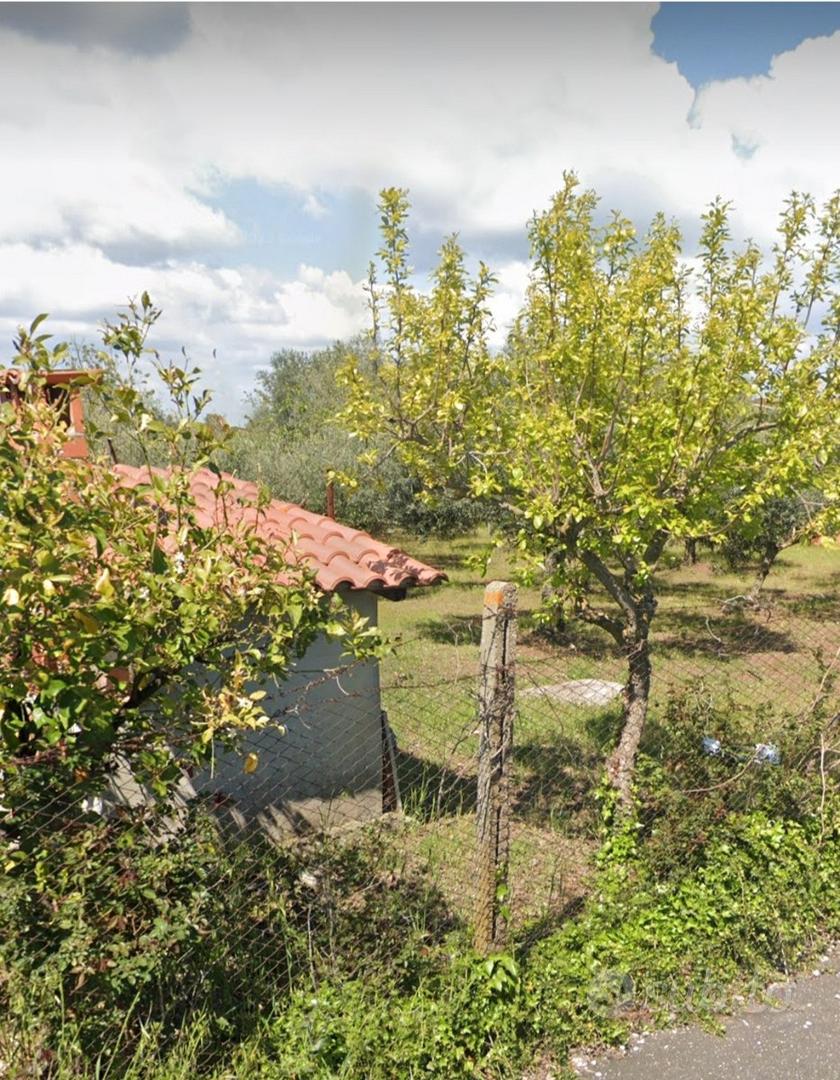 Terreno con fabbricato - Vista 6