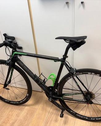 focus max izalco