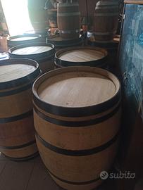 Barrique botti in rovere