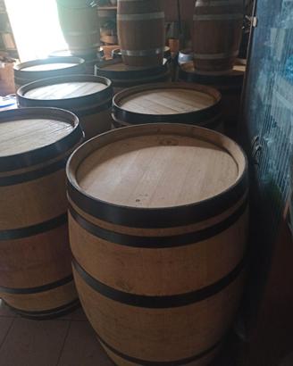 Barrique botti in rovere