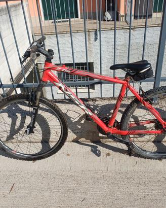Mtb NSR 