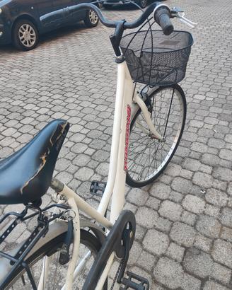 bicicletta 