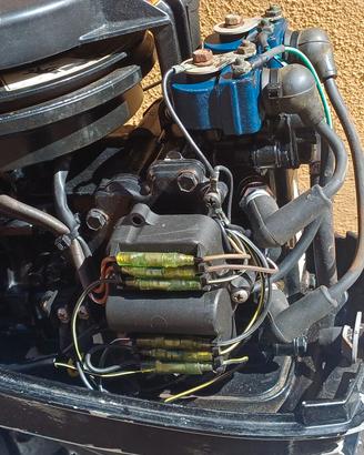 Motore Mercury 6 cv due tempi