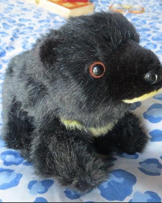 orso orsetto nero di peluche