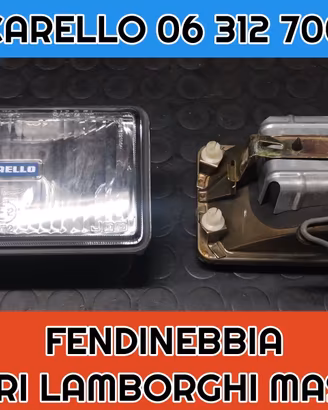 FARI FENDINEBBIA CARELLO  06 312 700