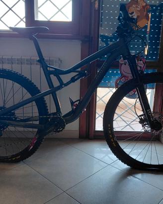 Mountain bike