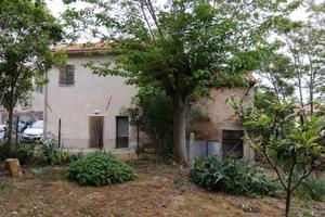 Casa singola, ampio terreno e piante da frutto