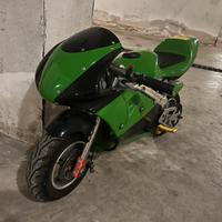 Mini Moto a Benzina -- KawasaKI NinJA -