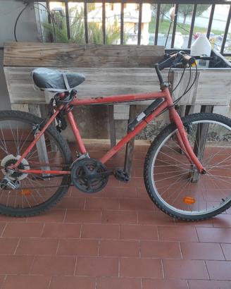 Bicicletta Mountain bike 26"