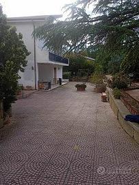 Rif.3650RV54248| villa caltanissetta
