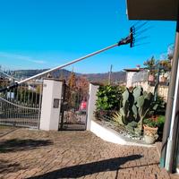 Scuotitore per olive