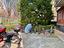 Immagine 26
