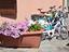 Immagine 9