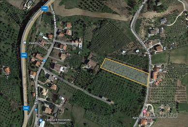 Splendido Oliveto con Vista Maiella - Lanciano (CH