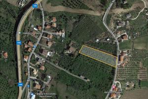 Splendido Oliveto con Vista Maiella - Lanciano (CH