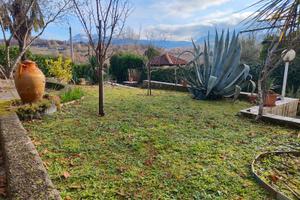 Appartamento in villa con giardino