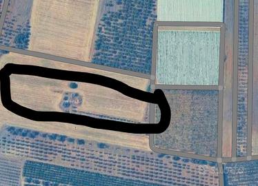 terreno agricolo 