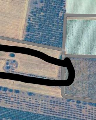 terreno agricolo 