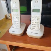 telefoni portatili per casa