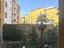 Immagine 11