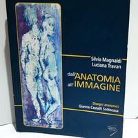 dall'anatomia all'immagine 