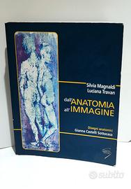dall'anatomia all'immagine 