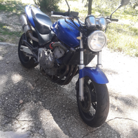 Honda 600 hornet