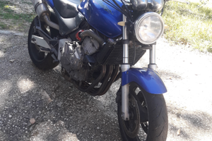 Honda 600 hornet