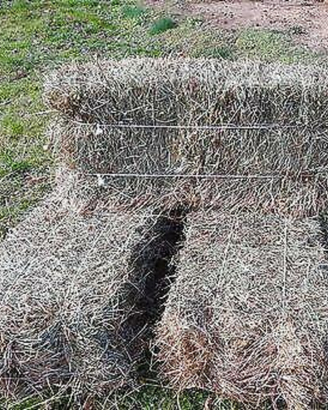 Fieno in ballette rettangolari