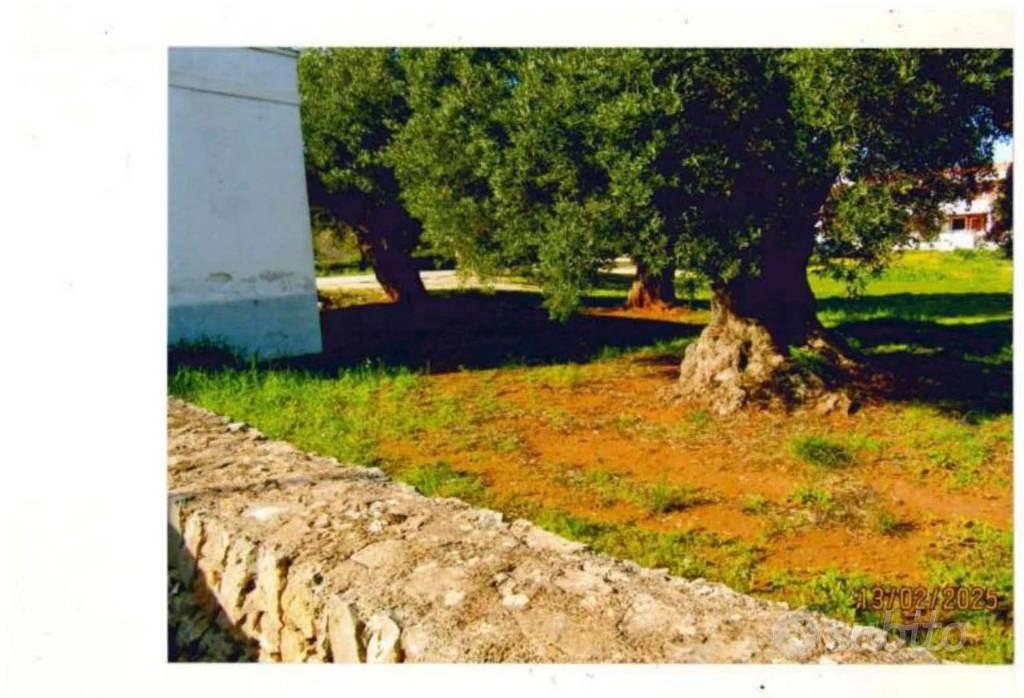 Immobile in asta di 3368 m² a Fasano - Vista 3