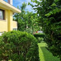 Tricamere con terrazza abitabile