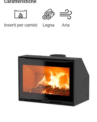 Inserito a legna per camino aperto 