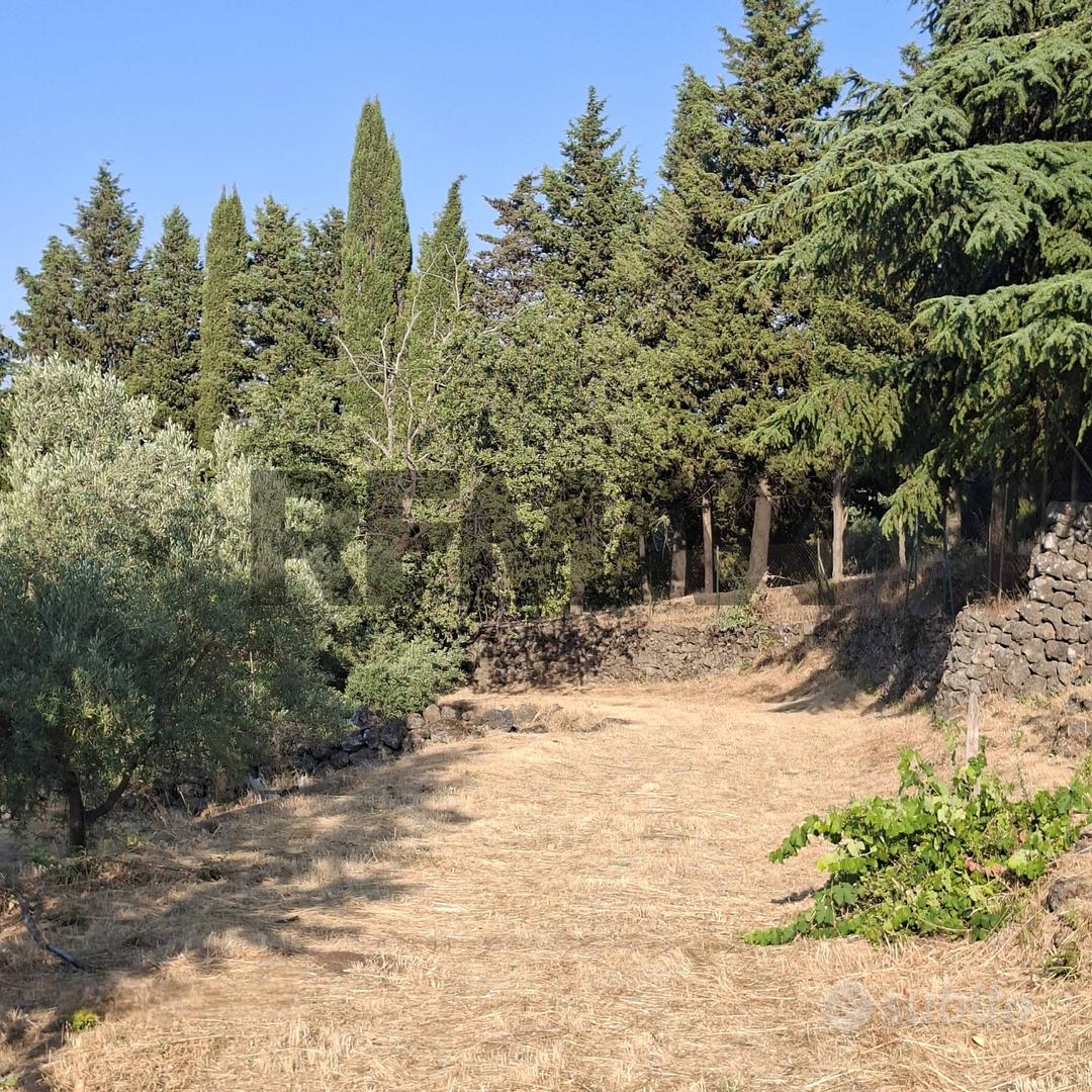Terreno - Castiglione di Sicilia - Vista 3