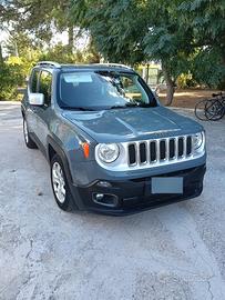 Geep Renegade 