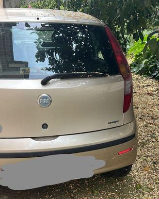 Punto 1300 Multijet