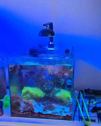acquario marino con cetus