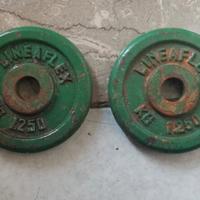 Due pesi da 1.25 kg in ghisa.