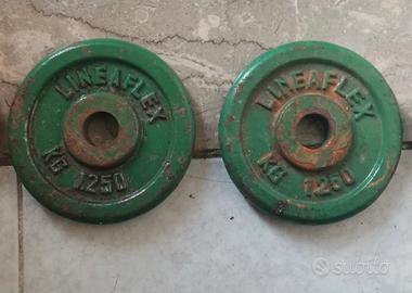 Due pesi da 1.25 kg in ghisa.
