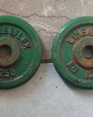 Due pesi da 1.25 kg in ghisa.