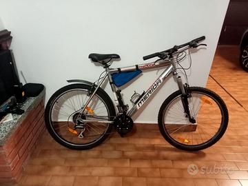Mountain bike misura grande