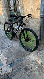 bicicletta 