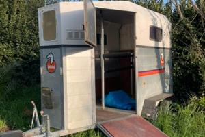 Trailers TATS BICCHI 2 Posti