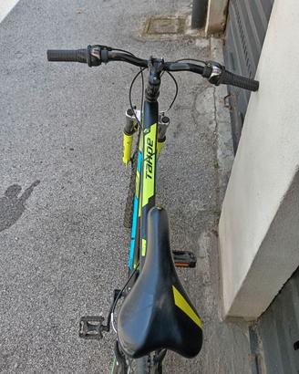 bicicletta mtb