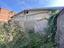 Immagine 14