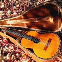 Chitarra L.Mozzani - Mod. Guadagni 1912-25