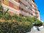 Immagine 17